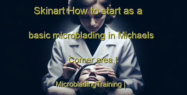 Skinart How to start as a basic microblading in Michaels Corner area | MicrobladingTraining | MicrobladingClasses | SkinartTraining-United States